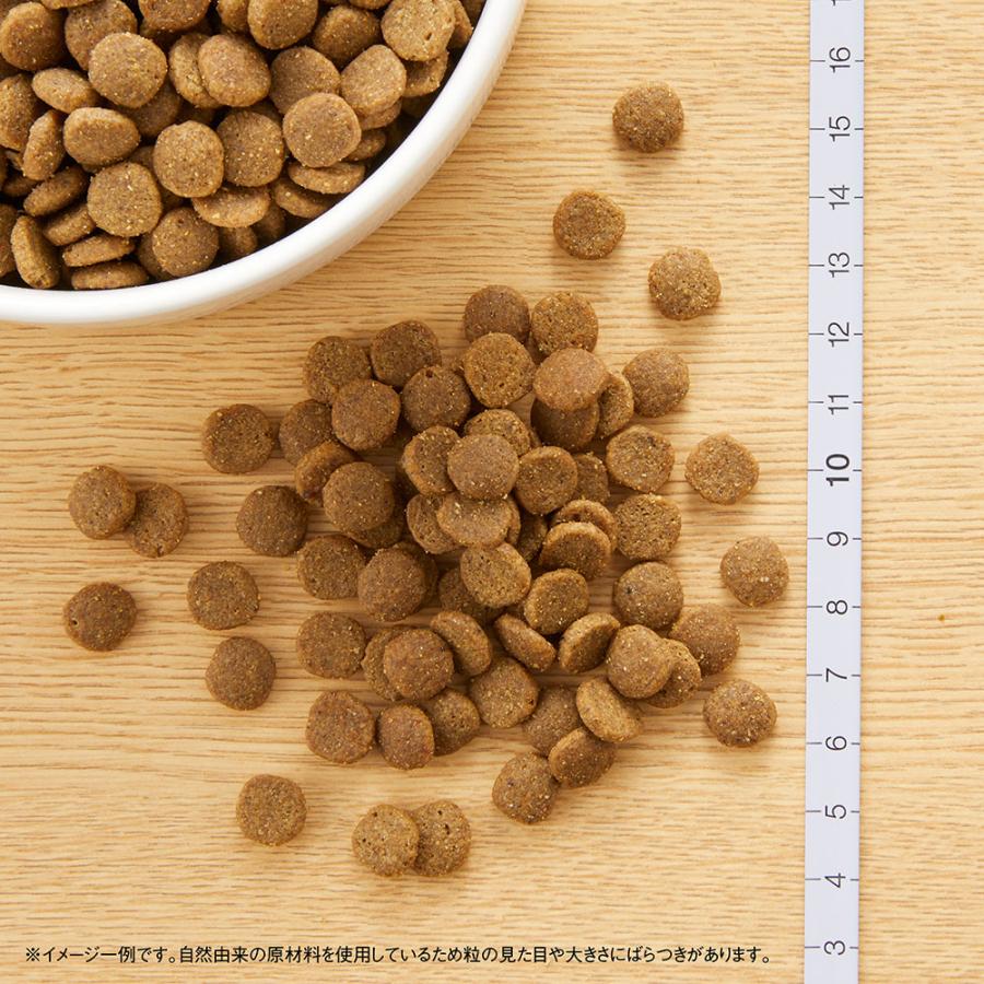 ニュートロ　猫　キャット　ワイルド　レシピ　エイジングケア　チキン　シニア猫用　２ｋｇ　お一人様５点限り｜chanet｜06