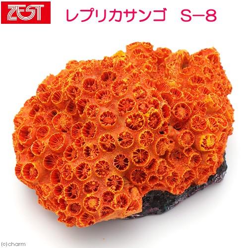 ゼンスイ ZEST レプリカサンゴ S−8 : チャーム charm ヤフー店