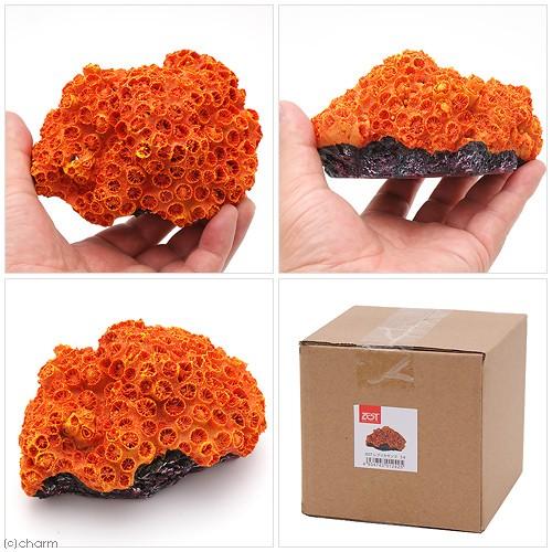 ゼンスイ ZEST レプリカサンゴ S−8 : チャーム charm ヤフー店