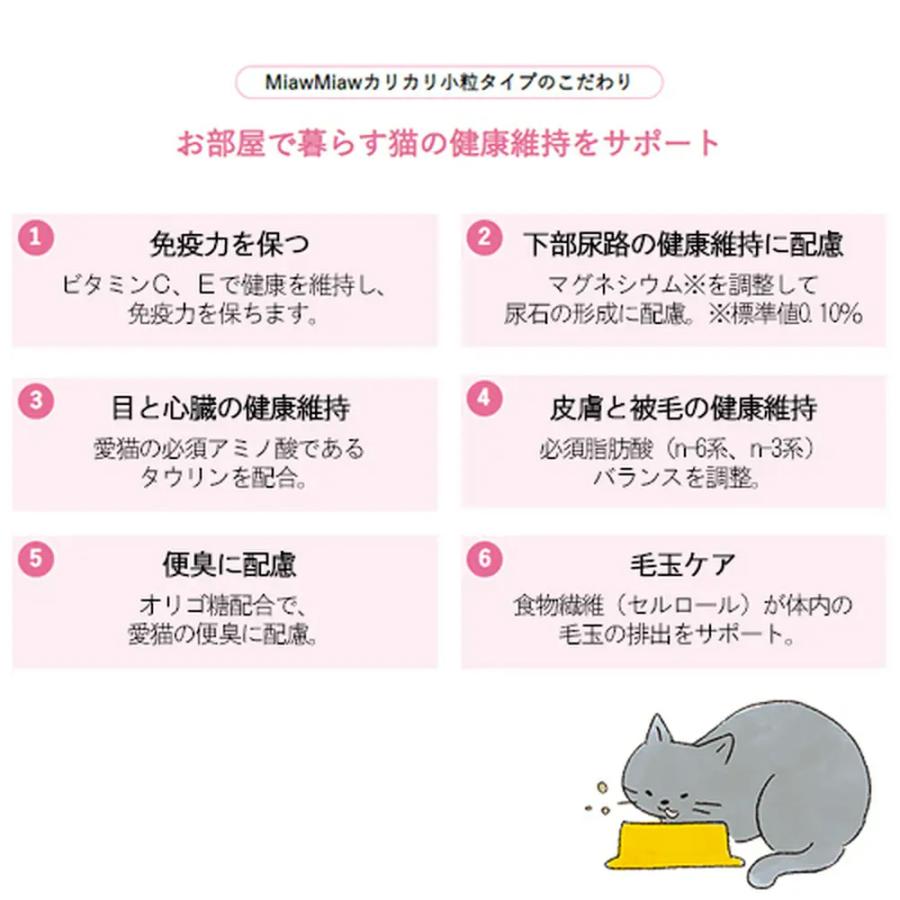 宅配 送料無料 お得な３袋たっぷり ドライソーセージ１１０g入 ３袋