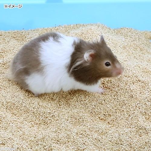 チャーム（charm） ハムスターのコーンサンド 9L（3L×3） 天然 消