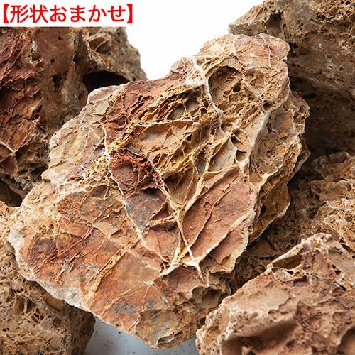 チャーム（charm） 古葉石 3kg 約5〜15cm 30cm水槽向け