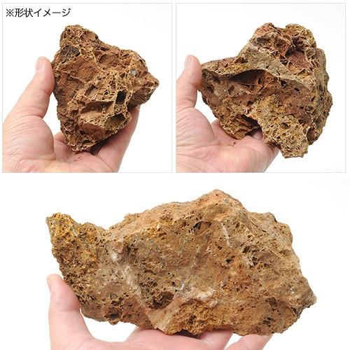 チャーム（charm） 古葉石 3kg 約5〜15cm 30cm水槽向け
