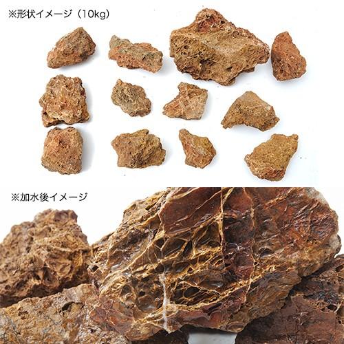 チャーム（charm） 古葉石 10kg 約5〜30cm 60cm水槽向け