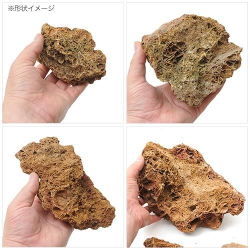 チャーム（charm） 古葉石 10kg 約5〜30cm 60cm水槽向け