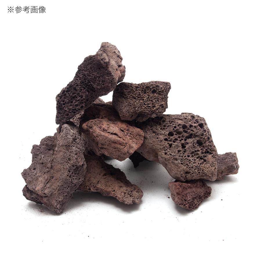 チャーム（charm） 紅溶岩石 3kg 約5〜15cm 30cm水槽向け