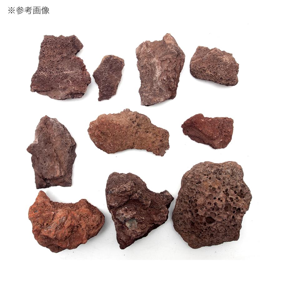 チャーム（charm） 紅溶岩石 3kg 約5〜15cm 30cm水槽向け