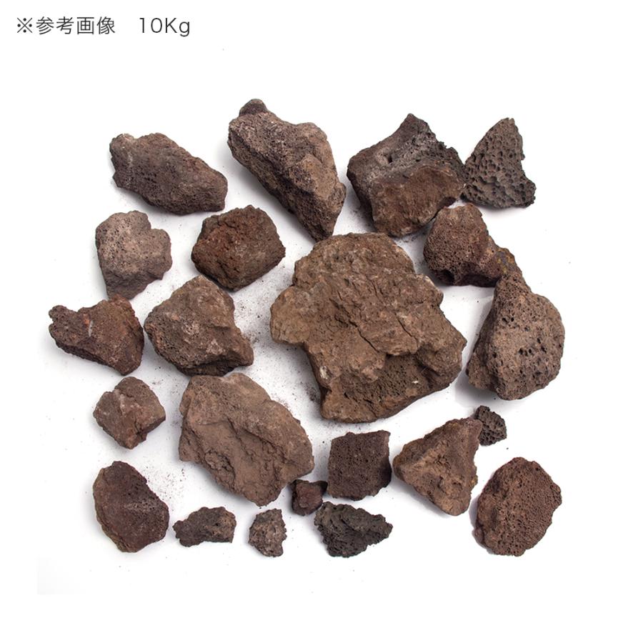 チャーム（charm） 紅溶岩石 10kg 約5〜20cm 60cm水槽