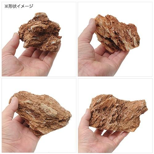 水槽用石 赤褐色 自然な形状 約30cm チャーム（charm） 褐光石 3kg 約5〜20cm 30cm水槽向け