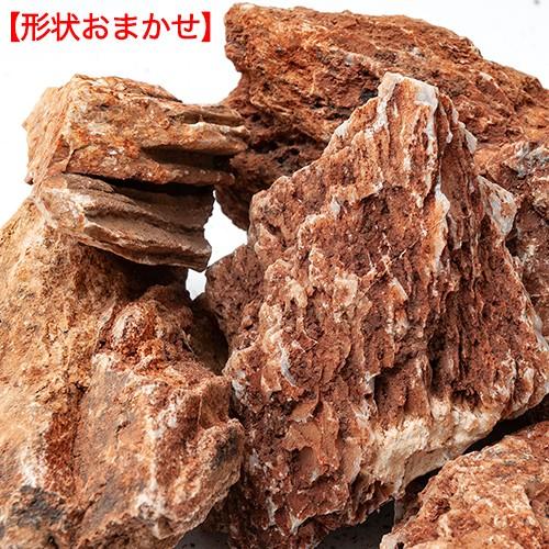 水槽用石 赤褐色 自然な形状 約30cm リーフ 形状お任せ 紅隆石 サイズミックス(約5~30cm) 10kg 60cm水槽