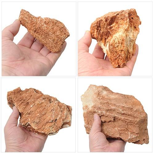 水槽用石 赤褐色 自然な形状 約30cm リーフ 形状お任せ 紅隆石 サイズミックス(約5~30cm) 10kg 60cm水槽