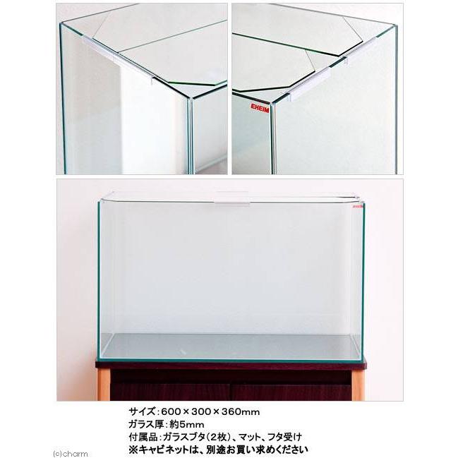 チャーム（charm） （熱帯魚）（水草）エーハイムEJ−60（60