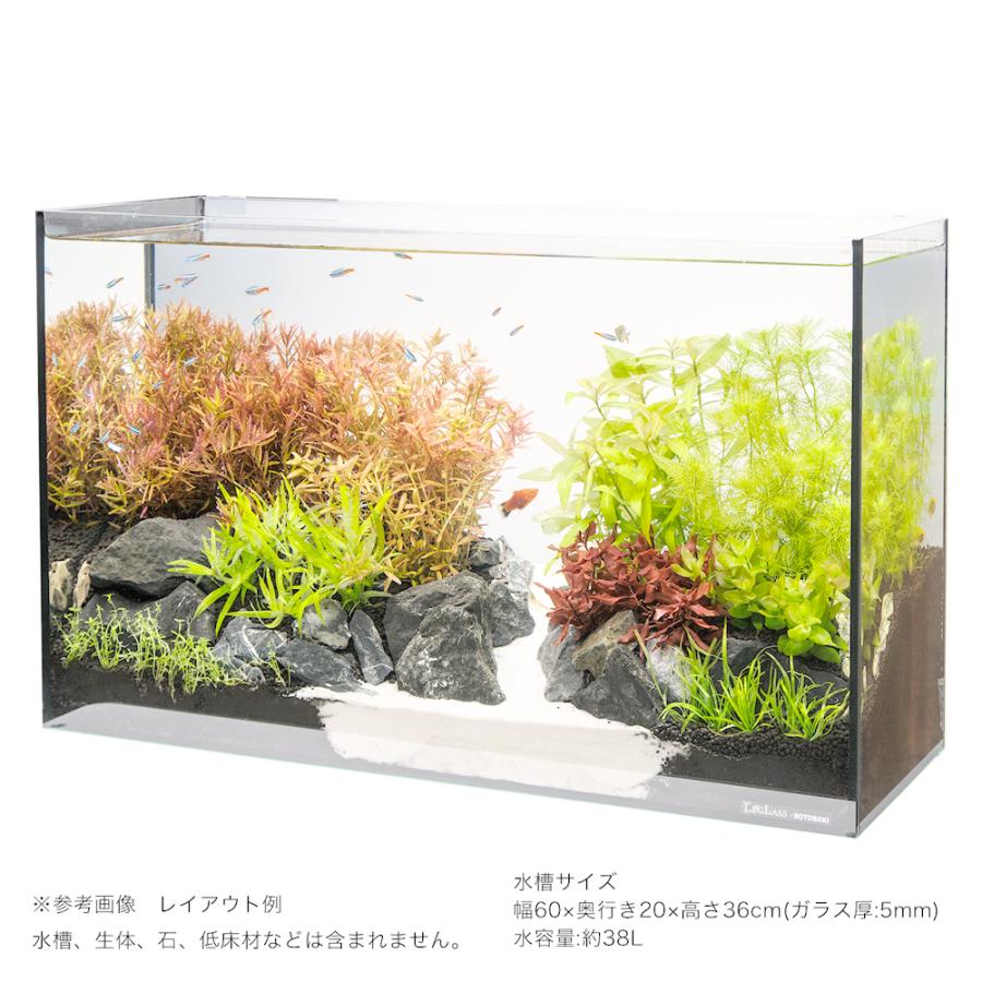 水草）60cmスリム水槽用水草セット : チャーム charm ヤフー店