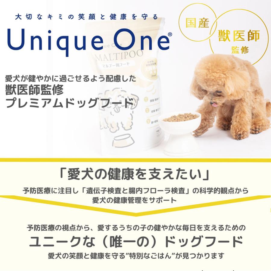 ドッグフード　ミックス犬　ブーリアン　Ｕｎｉｑｕｅ　Ｏｎｅ（ユニーク　ワン）　ポメチワ　８００ｇ |  | 01
