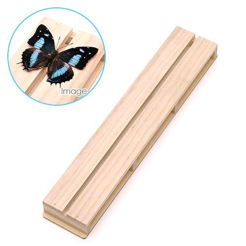 志賀昆虫 36×7cm 4号 展翅板 昆虫 標本用品 : チャーム charm  