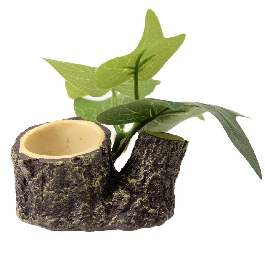 三晃商会 緑のお皿 クワガタ カブトムシ 昆虫ゼリー エサ皿 16g用