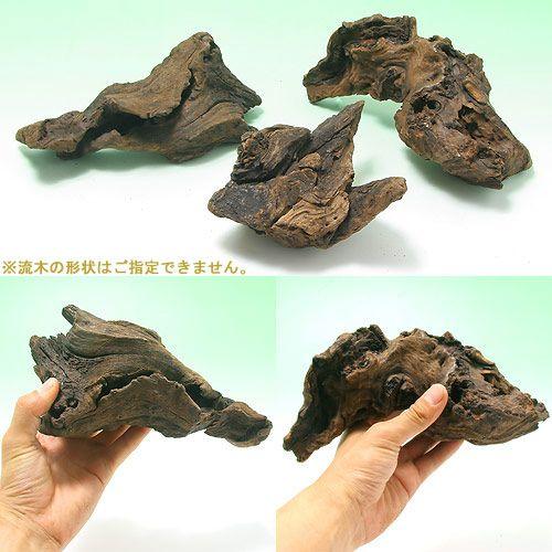 GEX（ジェックス） 天然流木 Sサイズ（約20〜25cm） 1本 形状