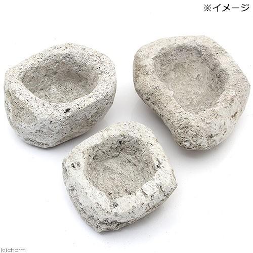 チャーム（charm） 形状お任せ フィリピン溶岩石鉢 Sサイズ（1個
