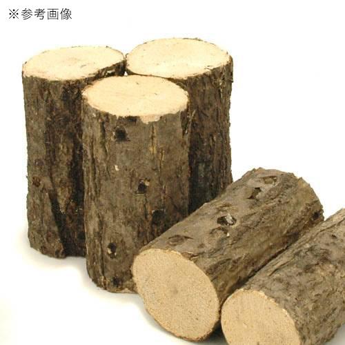 コナラ産卵木　細目　１本　昆虫　クワガタ用 | Leaf Corp | 01