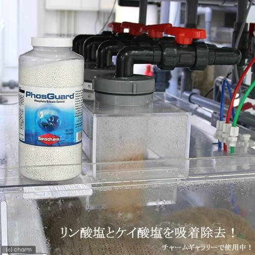 Ｓｅａｃｈｅｍ　シーケム　フォスガード　Ｐｈｏｓ　Ｇｕａｒｄ　１Ｌ（６００ｇ）淡水・海水用　リン酸吸着剤｜chanet｜03