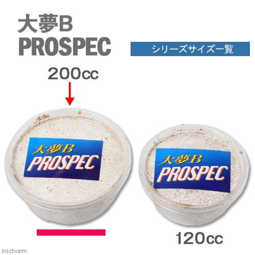 冷蔵☆菌糸カップ 大夢A プロスペック （カンタケ） カップ