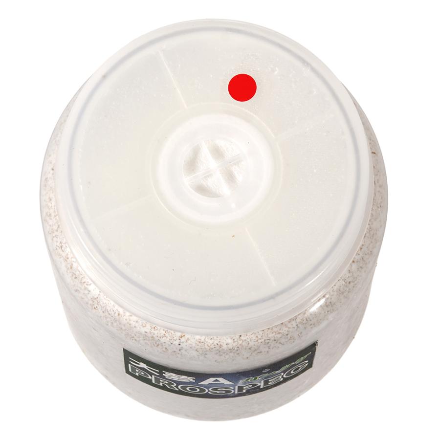 菌糸ビン　大夢Ａ　プロスペック　（カンタケ）　クリアーボトル　８００ｃｃ　１本 |  | 01