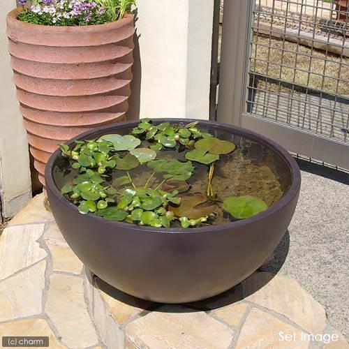 未使用長期保管　ツボ　睡蓮鉢　観葉植物鉢 メダカ用にも 未使用長期保管 ツボ 睡蓮鉢 観葉植物鉢 メダカ用にも 未使用長期保管