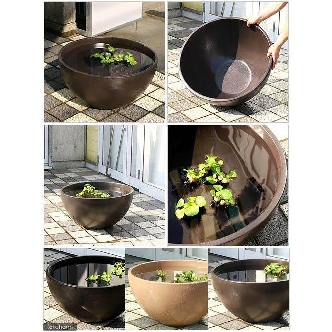 睡蓮鉢 メダカ鉢 凛 ｒｉｎ 丸型 ダークブラウン ｍ 睡蓮鉢 金魚鉢 メダカ鉢 沖縄別途送料 チャーム Charm Paypayモール店 通販 Paypayモール
