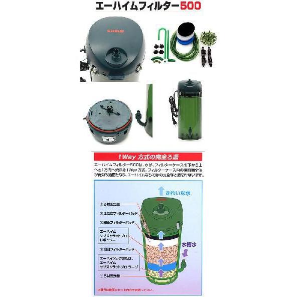 冷凍★スピルリナ　５０ｇ　ディスカスハンバーグ　別途クール手数料　常温商品同梱不可 |  | 01