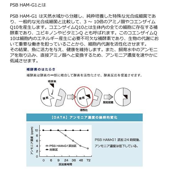 激安通販専門店 アウトレット品 ニチドウ アクアマスターズ ｐｓｂ ｈａｍ ｇ１ ２００ｍｌ 淡水用 光合成細菌 バクテリア 訳あり348円 Sarozambia Com