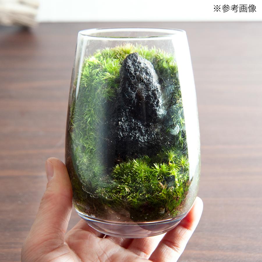 水盤テラリウム』(アクアリウム テラリウム アンティーク 骨董 箱庭 池