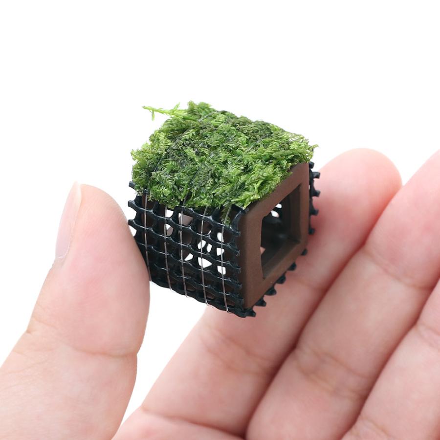 水草 巻きたて 稚エビの隠れ家 ウィローモス 水中葉 無農薬 １個 チャーム Charm Paypayモール店 通販 Paypayモール