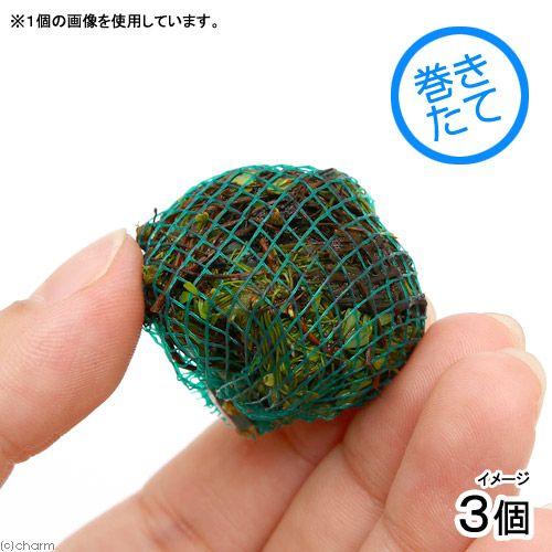 （水草）巻きたて　ベトナムクローバーボール（水上葉）（無農薬）（３個） | チャーム（ペット）