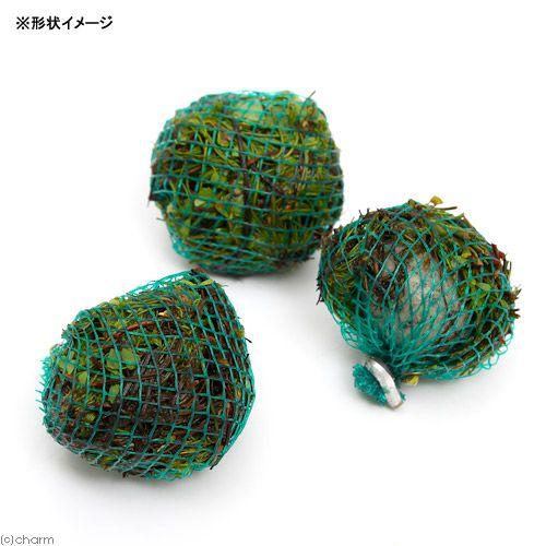 （水草）巻きたて　ベトナムクローバーボール（水上葉）（無農薬）（３個） | チャーム（ペット） | 01