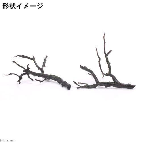 チャーム（charm） （水草）巻きたて ウォーターフェザー 枝状流木 S