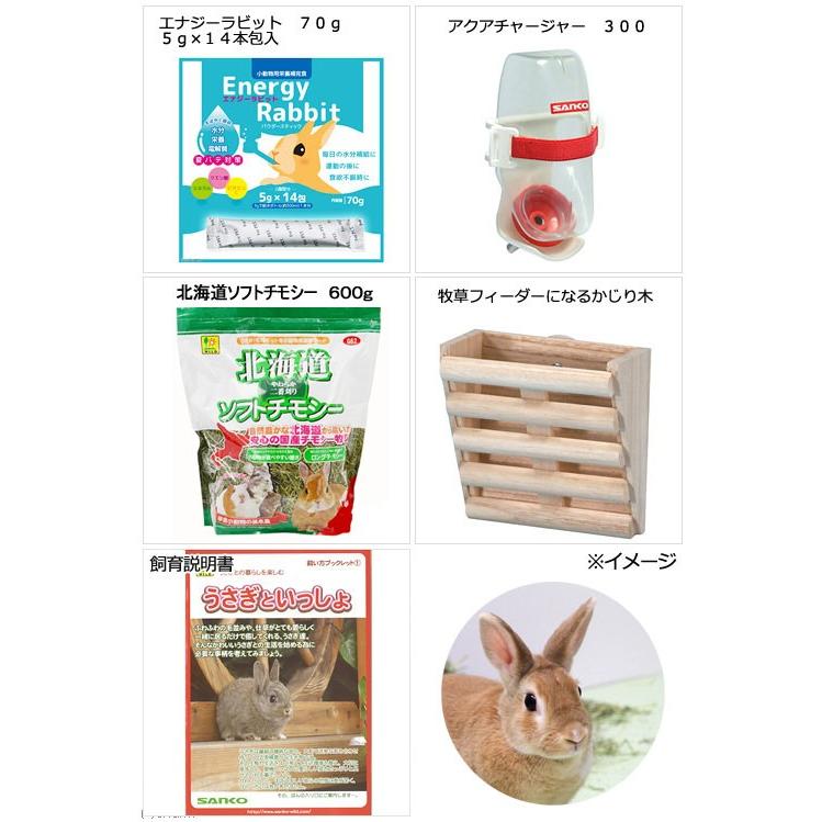 三晃商会 SANKO うさぎのかわいいおうちセット 飼育説明書付き スターターセット(62×50.5×55.5cm) うさぎ 沖縄別途送料|チャーム charm PayPayモール店|02