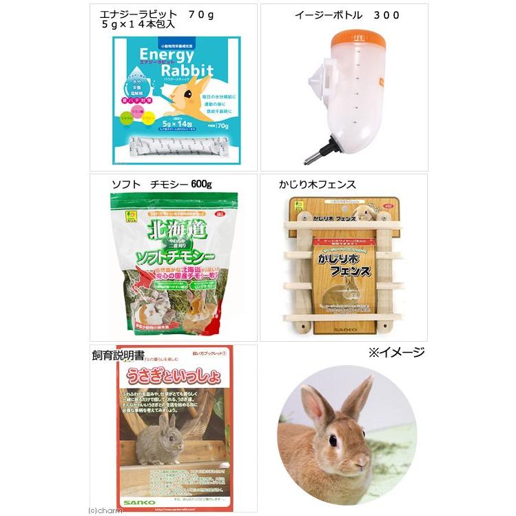 □三晃商会 うさぎの広いおうちセット 飼育説明書付き（８１×５０．５ 