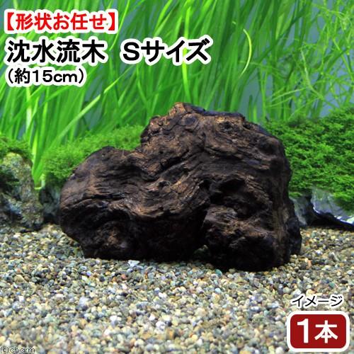 チャーム（charm） すぐに沈む！ 形状お任せ 沈水流木 Sサイズ（約