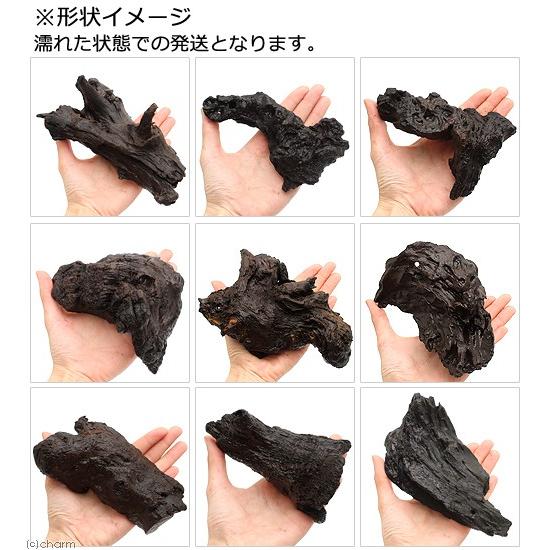 チャーム（charm） すぐに沈む！ 形状お任せ 沈水流木 Sサイズ（約