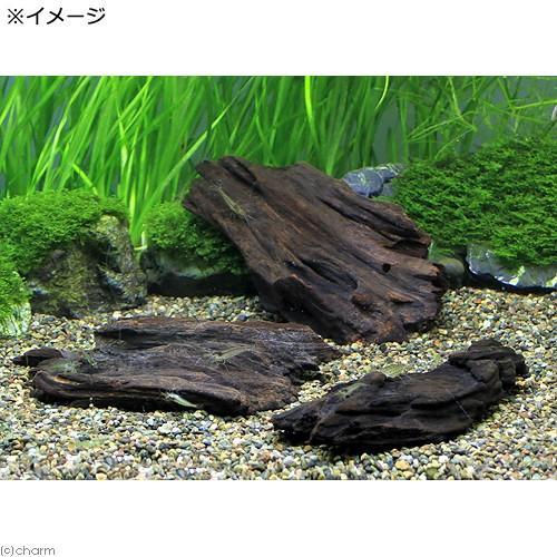 チャーム（charm） すぐに沈む！ 形状お任せ ボード流木 （約15cm