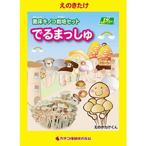 （観葉植物）きのこ栽培キット　でるまっしゅ　えのきたけ（１個）　家庭菜園｜chanet