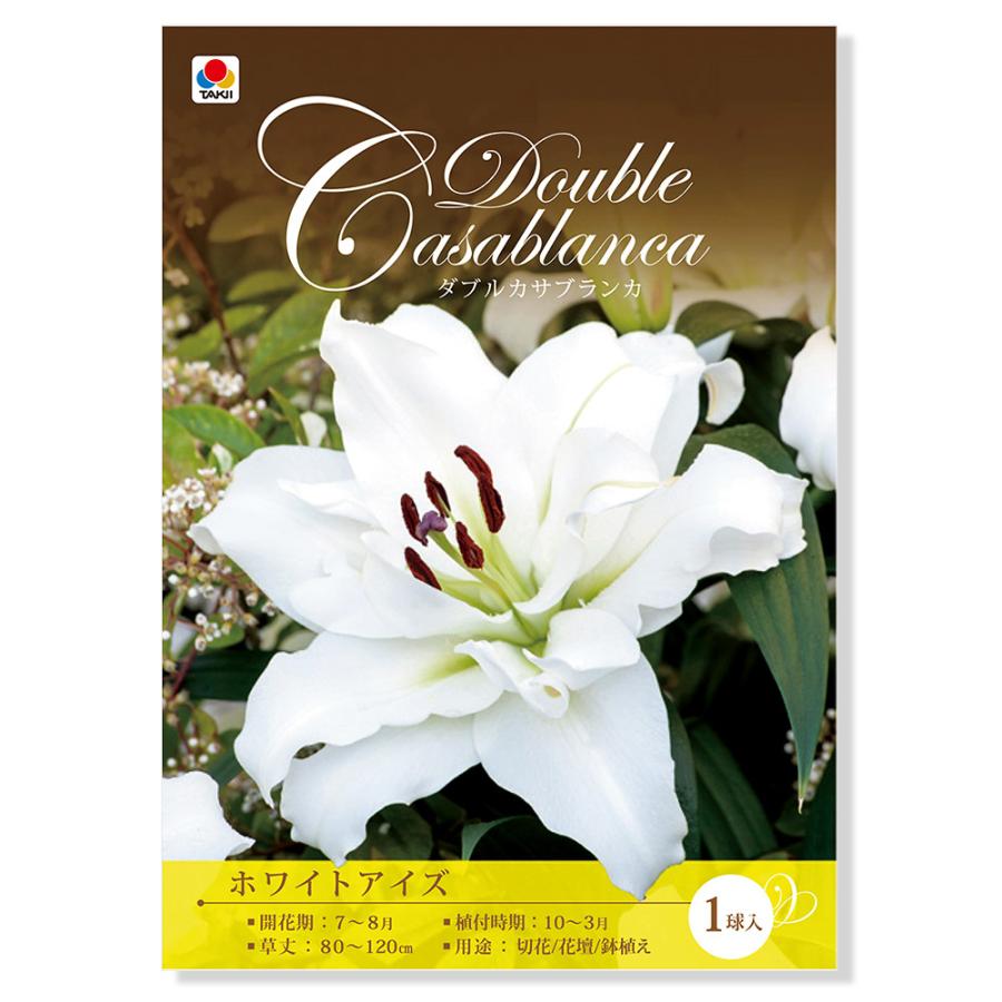観葉植物 球根 ユリ ダブルカサブランカ ホワイトアイズ １球詰 １袋 チャーム Charm ヤフー店 通販 Yahoo ショッピング