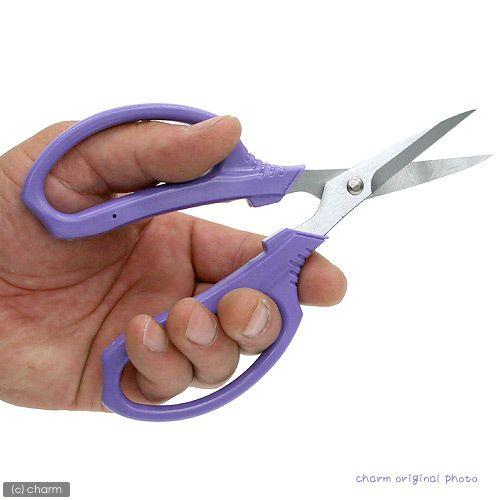 ＦＧフラワー鋏　万能用　剪定鋏　剪定　はさみ | 浅香工業