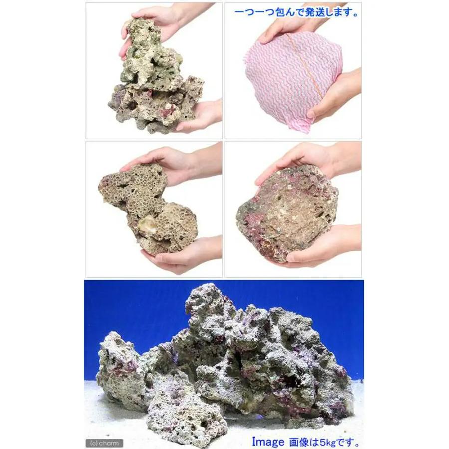 （海水魚）Ｂグレードライブロック　Ｍ−Ｌサイズミックス（２０ｋｇ）（形状お任せ）　北海道・九州航空便要保温 | チャーム（ペット） | 04