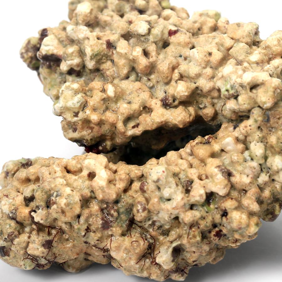 （海水魚）Ｂグレードライブロック　３０ｃｍキューブ水槽用　（１セット）（形状お任せ）　北海道・九州航空便要保温 | チャーム（ペット） | 02