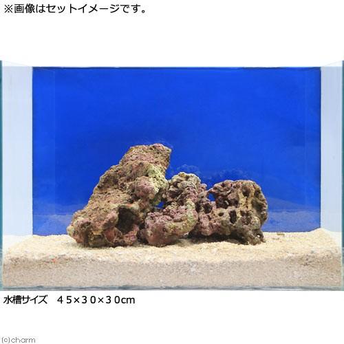 クーポン対象外 海水魚 ｓグレードライブロック ３０ｃｍキューブ水槽セット １セット 形状お任せ 沖縄別途送料6 150円 Aynaelda Com