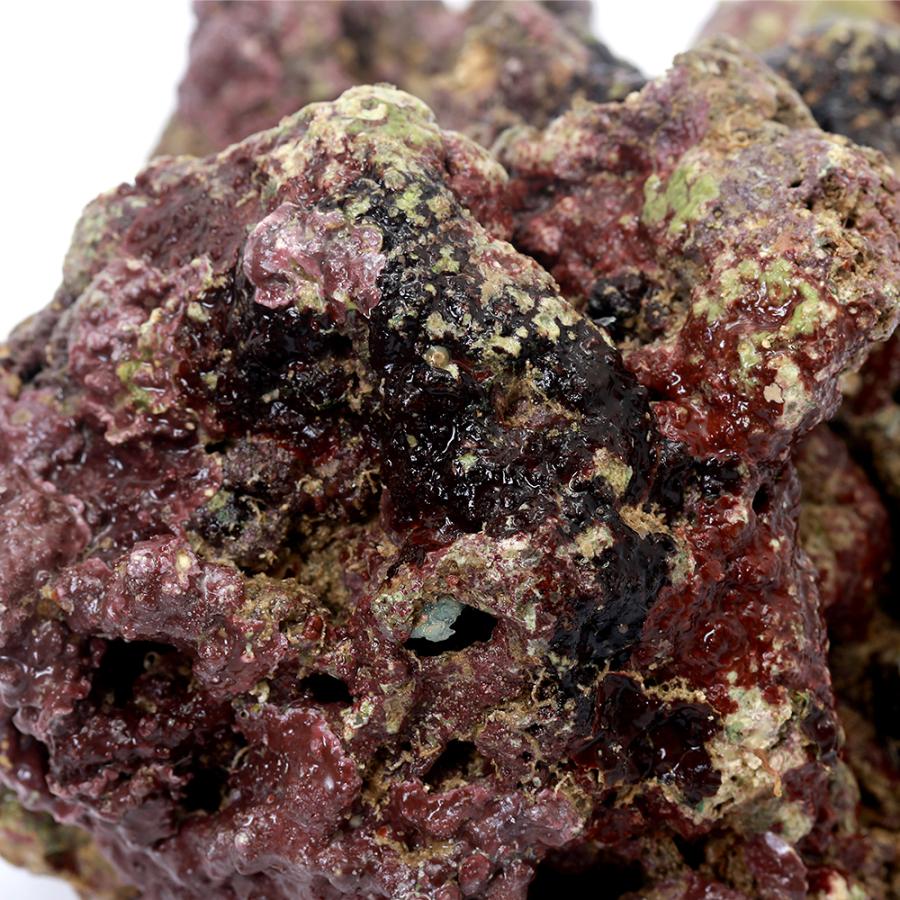 （海水魚）Ｓグレードライブロック　３０ｃｍキューブ水槽用（１セット）（形状お任せ）　北海道・九州航空便要保温 | チャーム（ペット） | 02