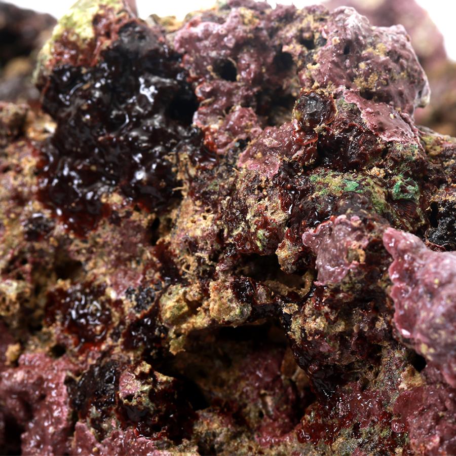 （海水魚）Ｓグレードライブロック　３０ｃｍキューブ水槽用（１セット）（形状お任せ）　北海道・九州航空便要保温 | チャーム（ペット） | 03