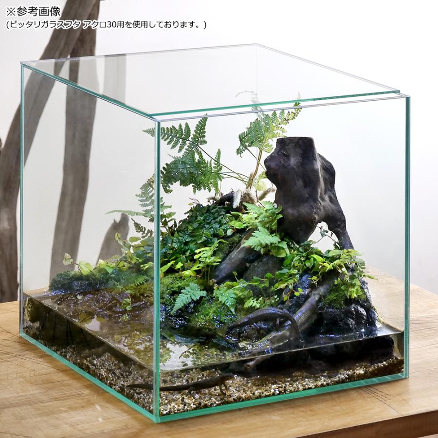 アクロ ガラス水槽 アクロ30キューブ 30×30×30cm アクロ ガラス水槽 アクロ30キューブ 30×30×30cm