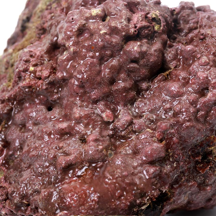 （海水魚）ライブロック　ＥＸＳグレード　レッドロック　ＳＳサイズ（１個）（形状お任せ）　北海道・九州航空便要保温 | チャーム（ペット） | 01